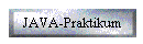 JAVA-Praktikum